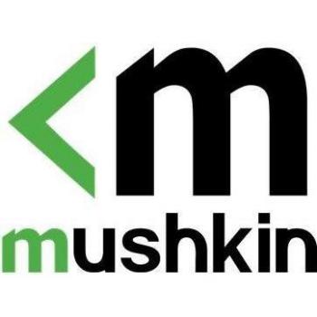 Mushkin Element 2.5 SATA III 256GB SSD