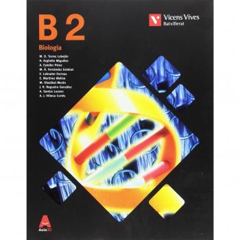B 2