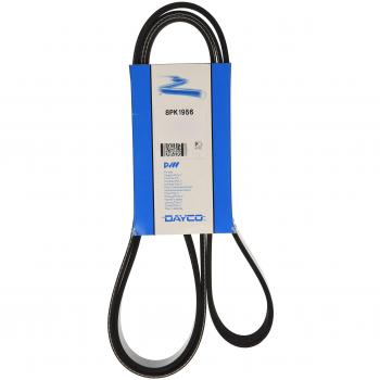 Correa trapecial Poli V DAYCO 8PK1956 - Alta Durabilidad y Rendimiento