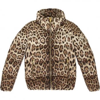 Dolce & Gabbana Women's Leopard Print Short Down Jacket in Beige | Size 38 | F9R11THSMW8 Color HY13M, Down Jackets, female, Brown, Size: 2XS Sportswear Coats