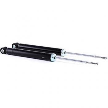 RIDEX 854S2016 Amortiguador, Set de 2
