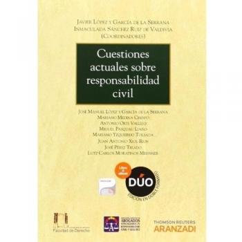 Cuestiones actuales sobre responsabilidad civil