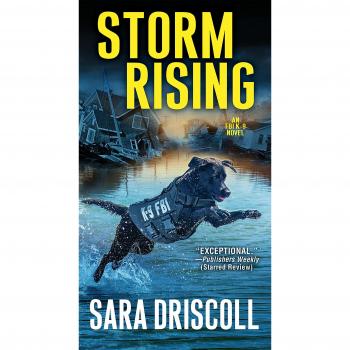 Storm Rising