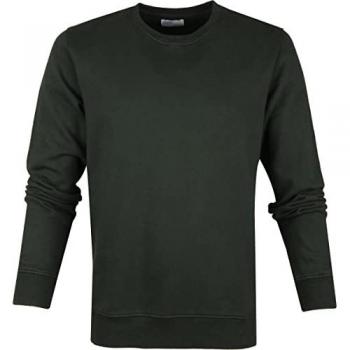 Colorful Standard Classic Organic Crewneck Sweatshirt in Hunter Green