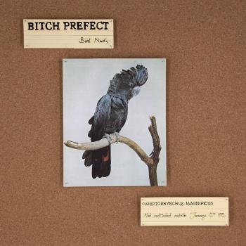 Bird Nerds Vinyl Collectible Figurines