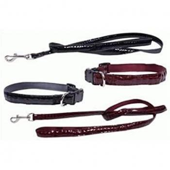 San Dimas 93453 Collar Croco 15 x 250 mm, S, Negro
