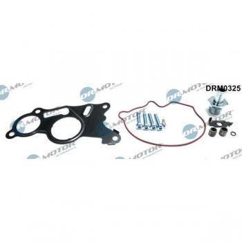 Kit de reparación bomba de vacío (sistema de frenos) DR.MOTOR AUTOMOTIVE DRM0325