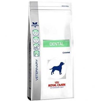 Royal Vet Canine Dental Dlk22 6Kg 6000 g