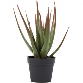 Cactus Artificial Aloe 81 cm - Planta decorativa, tamaño 81 cm, diseño realista, ideal para interiores y exteriores, fácil mantenimiento