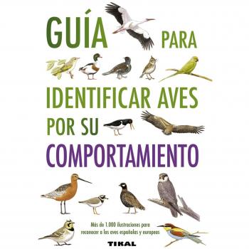 Guía para identificar aves por su comportamiento