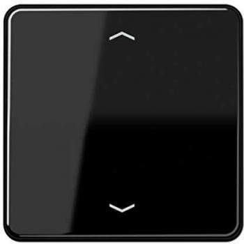 Tecla de sonido estándar personalizada flechas NG CD plástico (restablecer al rayado) brillante JUNG 0712001561