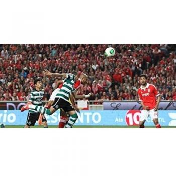 SL Benfica (29x14 inch, 73x35 cm) Silk Poster Seda Cartel PJ14-268C