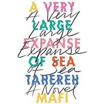 A Very Large Expanse of Sea