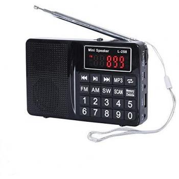 Prunus Radio portatile Sw/FM/Am