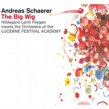The Big Wig: A Comprehensive Guide with DVD by Andreas Schaerer