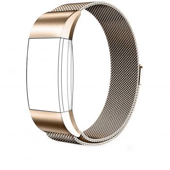EUI Magnético Correa Compatible Fitbit Charge 2, Correa de Repuesto de Metal Milanesa de Acero Inoxidable con Cierre Magnético para Fitbit Charge 2