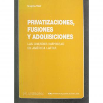 Privatizaciones Fusiones Y Adquisiciones