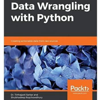 Python Data Wrangling: Transforming Raw Data into Actionable Insights