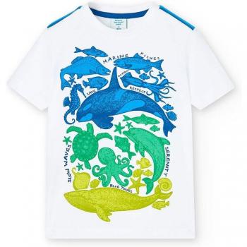 Camiseta de niño de manga corta con dibujo frontal - BCI