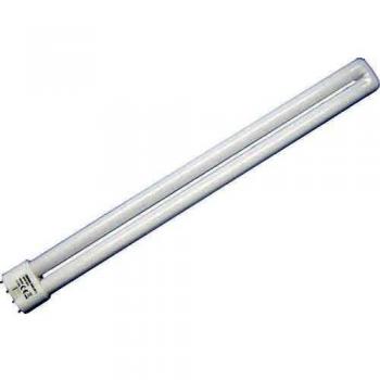 Osram 010786 lámpara fluorescente compacta Dulux L 36 W/840 Lumilux luz blanca fría 2 G11 TC-L – L