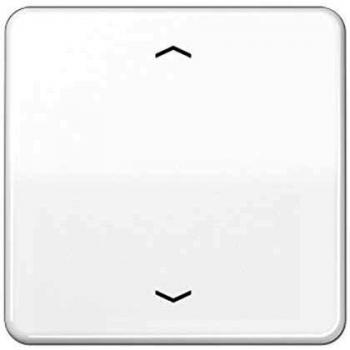 Tecla de Sorrento estándar personalizada flechas blancas alpaca con acabado brillante, referencia 0712001557 JUNG