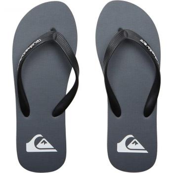 Chanclas de Hombre Quiksilver Molokai Core - Color Gris, Talla 9