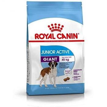 Royal Canin Junior Active Giant