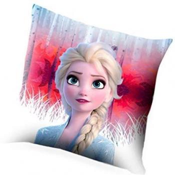 Kids-WD20708 Frozen Cojín, Multicolor