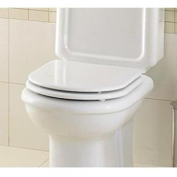 Sanitana RGTD210C1 Regina Tapa Asiento WC Termodur Blanca