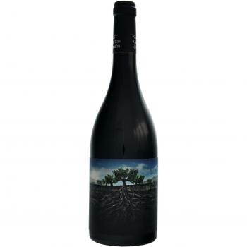 Garnachas de España - Vino tinto la garnacha salvaje del Moncayo