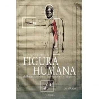 Historia de las teorias de la figura humana
