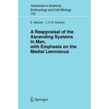A Reappraisal of the Ascending Systems in Man, with Emphasis on the Medial Lemniscus