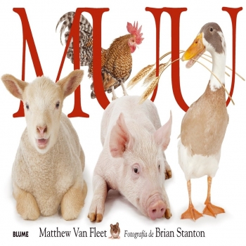 Muu