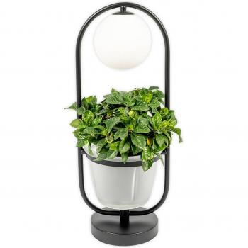 Lindby Orna lámpara de mesa 1 luz macetero moderna en negro hecha de metal e.o. para salón y comedor (1 llama, G9)