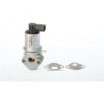 Válvula EGR BorgWarner Wahler 710778D, compatible con sistemas de recirculación de gases de escape, diseño eficiente para reducción de emisiones, alta calidad y durabilidad, fácil instalación