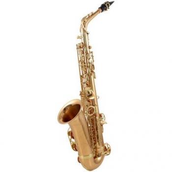 Yanagisawa AWO2 Bronze Alto Saxophone