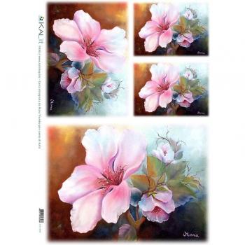 Accademia del Decoupage 32 x 45 cm de papel de arroz para, Azalea