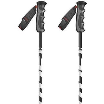 Scott Zeo 2018 Bâtons de Ski pour Homme 115 cm uni Noir