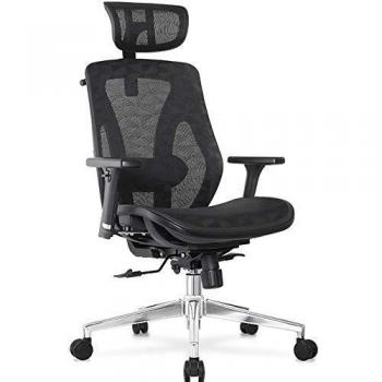 Cedric Silla de Oficina ergonómica con Soporte Lumbar, Silla de Escritorio de Malla Transpirable con reposacabezas Ajustable, reposabrazos 3D, función de inclinación-certificación EN1335, CD-8015MH