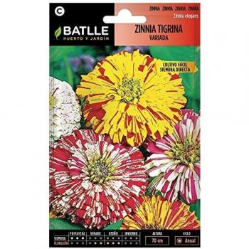 Semillas de Flores - Zinnia Tigrina variada - Batlle