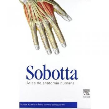 Pack Anatomía Sobotta: Paulsen + Drake