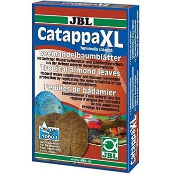 Novopet Catappa XL + 12 Unidades 100 ml