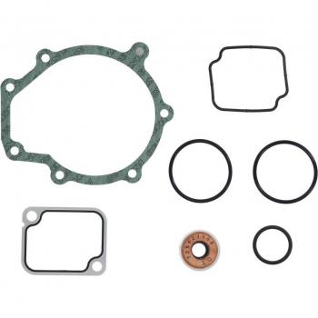 Kit de reparación bomba de agua DT Spare Parts 4.90925