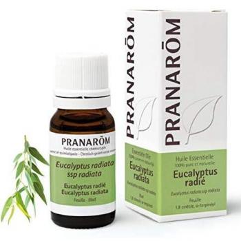 Pranarôm - Eucalyptus Radiata Essential Oil - Leaf - 10 ml