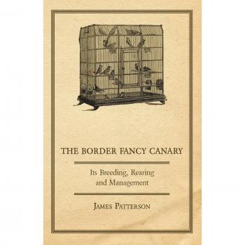 Border Fancy Canary Care Guide: Breeding, Rearing, and Management by James Patterson