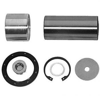 Kit de reparación pivote del muñón del eje FEBI BILSTEIN 06891
