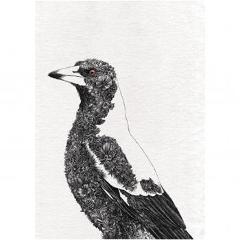 Paño de Cocina Maxwell & Williams Marini Ferlazzo Birds con Diseño de Urraca Australiana, 100% Algodón, 50 x 70 cm - Blanco
