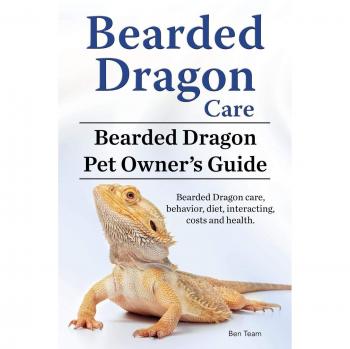 Bearded Dragon Care. Bearded Dragon Pet Owners Guide. Bearded Dragon care, behavior, diet, interacting, costs and health. Bearded dragon.