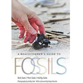 A Beachcomber's Guide to Fossils: 36