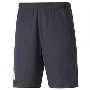 Puma Pantalones Cortos de Fútbol Park para Hombre, Color Parisian Night, Talla S